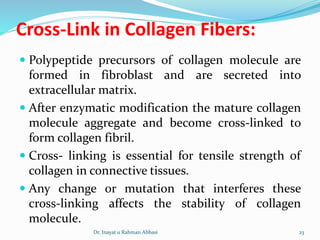 Cross-Link in Collagen Fibers:
 Polypeptide precursors of collagen molecule are
formed in fibroblast and are secreted into
extracellular matrix.
 After enzymatic modification the mature collagen
molecule aggregate and become cross-linked to
form collagen fibril.
 Cross- linking is essential for tensile strength of
collagen in connective tissues.
 Any change or mutation that interferes these
cross-linking affects the stability of collagen
molecule.
Dr. Inayat u Rahman Abbasi 23
 