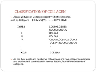 Collagen presentation1 | PPTX