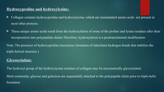 Comprehensive Overview of Collagen: Structure, Biosynthesis, Types, and ...