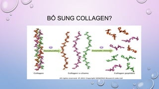 Collagen thủy phân và ứng dụng.pptx