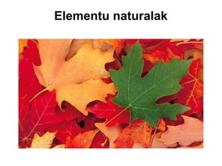Elementu naturalak

 
