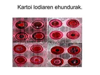 Kartoi lodiaren ehundurak.

 