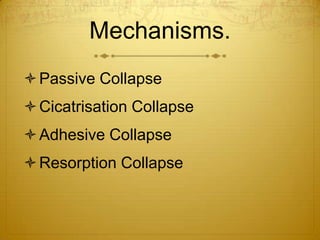Collapse & consolidation made simple - chest X-rayz | PPTX