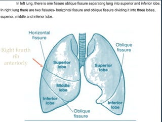 lung atelectasis presentation powerpoint .ppt