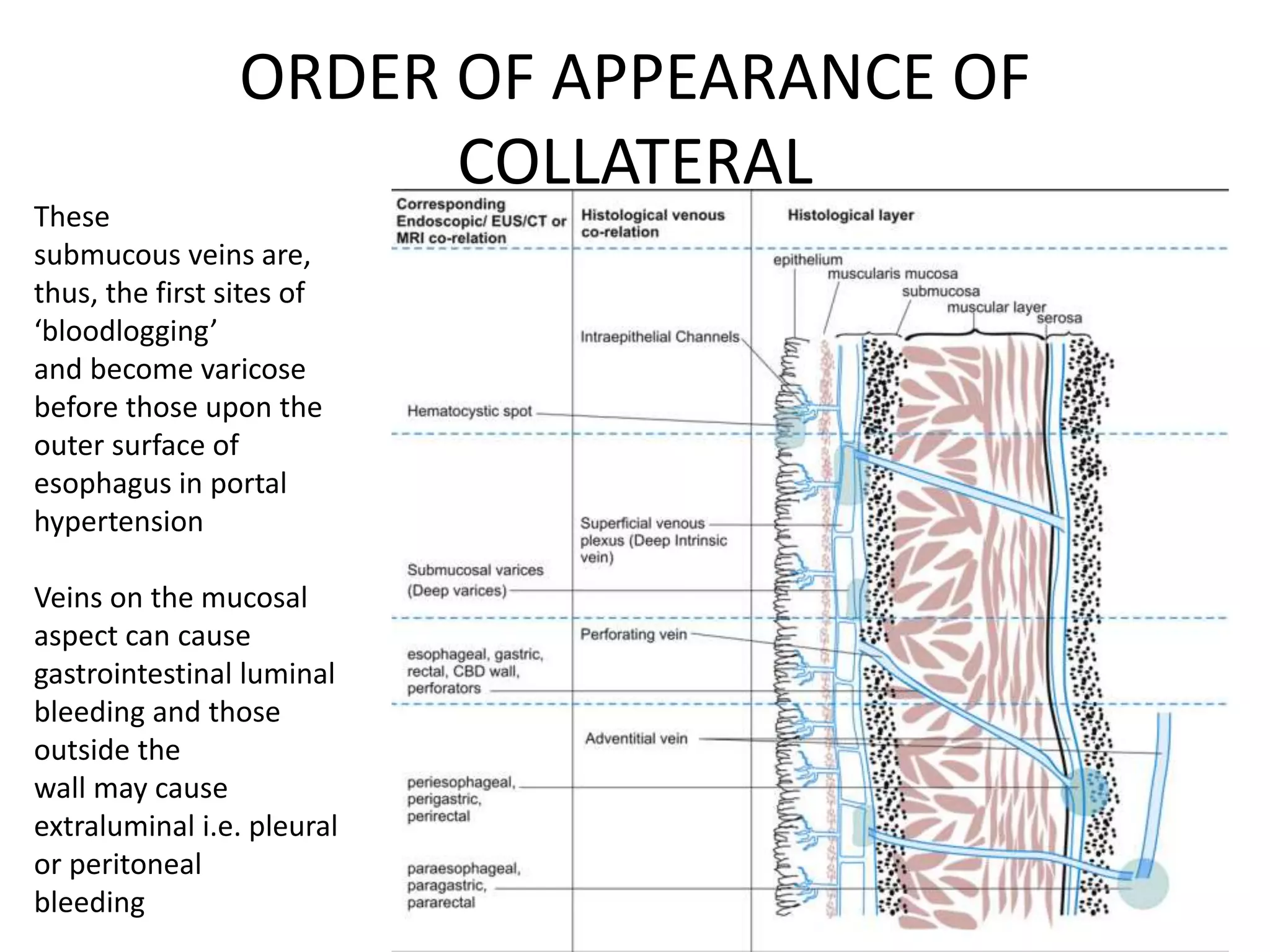 ORDER OF APPEARANCE OF
COLLATERAL
These
submucous veins are,
thus, the first sites of
‘bloodlogging’
and become varicose
before those upon the
outer surface of
esophagus in portal
hypertension
Veins on the mucosal
aspect can cause
gastrointestinal luminal
bleeding and those
outside the
wall may cause
extraluminal i.e. pleural
or peritoneal
bleeding
 