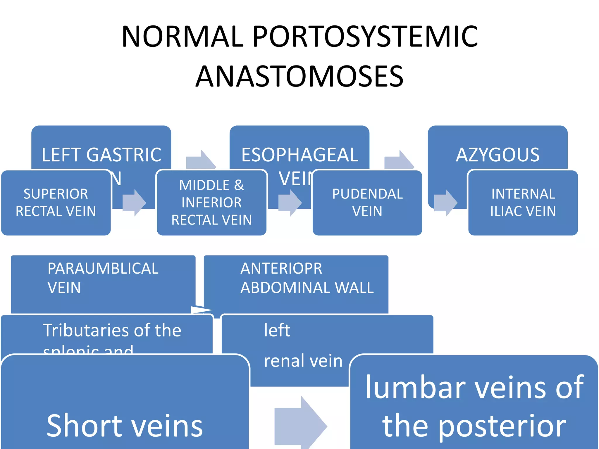 NORMAL PORTOSYSTEMIC
ANASTOMOSES
LEFT GASTRIC
VEIN
ESOPHAGEAL
VEIN
AZYGOUS
VEIN
SUPERIOR
RECTAL VEIN
MIDDLE &
INFERIOR
RECTAL VEIN
PUDENDAL
VEIN
INTERNAL
ILIAC VEIN
PARAUMBLICAL
VEIN
ANTERIOPR
ABDOMINAL WALL
Tributaries of the
splenic and
pancreatic veins
left
renal vein
Short veins
lumbar veins of
the posterior
 
