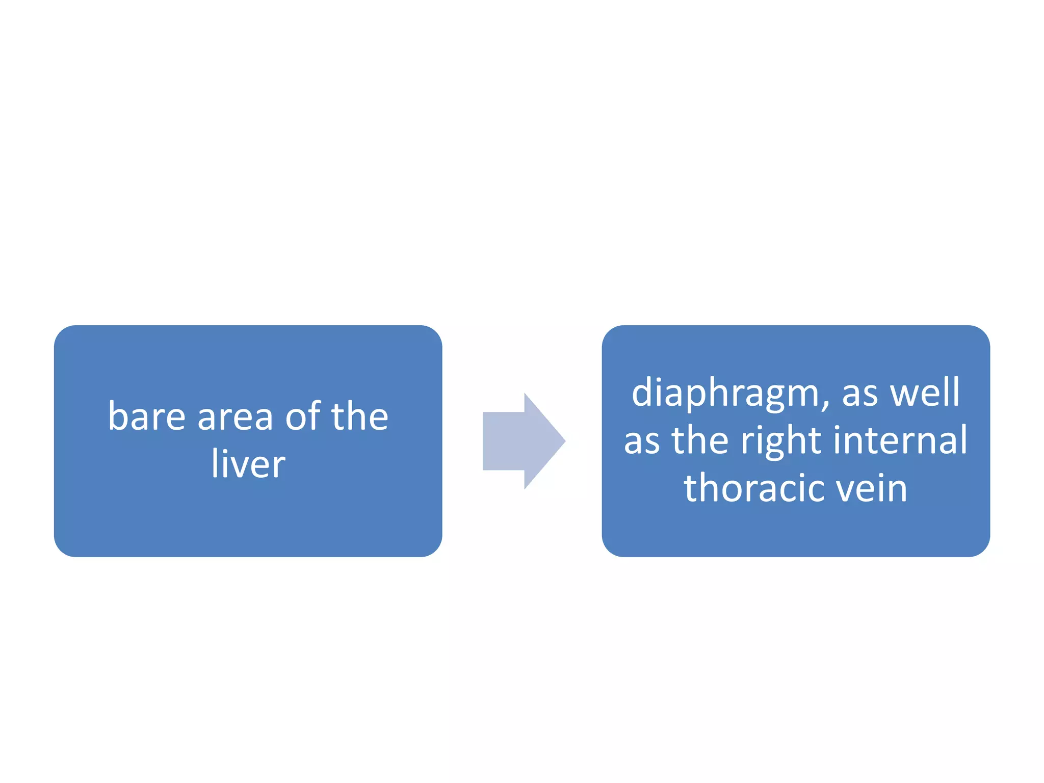 bare area of the
liver
diaphragm, as well
as the right internal
thoracic vein
 