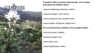 FLORAIFAUNA
Hi ha una flora força variada on hi en podem trobar:
-boscos:pi pinyer, ullastre...
-pastures:espígol, bruc...
-rieres:balca, jonc...
-penya-segats:gasó, cádec...
hi podem trobar una fauna molt variada , hi ha 4 tipos
principales de hábitat i fauna:
-boscos:mallerenga carbonera, cabirol...
-pastures:senglar, conill, perdiu..
-rieres:tortuga de rierol, granota verda…
-penya-segats: xorigueres, dragó comu...
 
