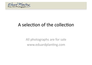 A selec'on of the collec'on 

   All photographs are for sale 
    www.eduardplan'ng.com 
 