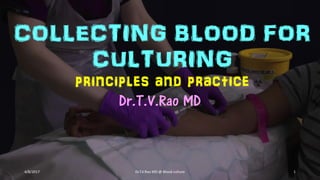 COLLECTING BLOOD FOR
CULTURING
principles and practice
Dr.T.V.Rao MD
4/8/2017 Dr.T.V.Rao MD @ Blood culture 1
 
