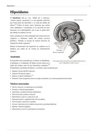 Hipotálamo                                                                                                                           1



    Hipotálamo
    El hipotálamo (del gr. ὑπό, "debajo de" y θάλαμος,
    "cámara nupcial, dormitorio") es una glándula endocrina
    que forma parte del diencéfalo, y se sitúa por debajo del
    tálamo.[1] Libera al menos nueve hormonas que actúan
    como inhibidoras o estimulantes en la secreción de otras
    hormonas en la adenohipófisis, por lo que se puede decir
    que trabaja en conjunto con este.

    Suele considerarse el centro integrador del sistema nervioso
    vegetativo o autónomo, dentro del sistema nervioso
    periférico. También se encarga de realizar funciones de
    integración somato-vegetativa.
    Realiza la homeostasis del organismo en conjunto con la
    hipófisis, por medio de un sistema de realimentación
    negativa.


    Anatomía
    El diencéfalo está constituido por el tálamo, el hipotálamo,      Corte sagital medio del cerebro de un embrión humano de tres
    el epitálamo, y el subtálamo. El tálamo son dos masas en el                   meses. (Hipotálamo visible al centro.)
                                                               [2]
    medio del cerebro, entre los dos hemisferios cerebrales.
    El hipotálamo está debajo del tálamo y sus límites están constituidos por:
    • Superior: El piso del III ventrículo.
    • Anterior: El quiasma óptico.
    • Inferior y Lateral: Subtálamo.[3]
    • Posterior: Línea imaginaria entre los cuerpos mamilares y la comisura posterior del cerebro.


    Núcleos neuronales
    •   Núcleos laterales: se relacionan con el hambre
    •   Preóptico: función parasimpática
    •   Supraóptico: produce hormona antidiurética
    •   Paraventricular: produce oxitocina
    •   Hipotalámico anterior: centro de la sed
    •   Supraquiasmático: regulación del ciclo circadiano
    •   Ventromedial: centro de la saciedad
    •   Arcuato: interviene en la conducta emocional y actividad endócrina
    •   Mamilar: función simpática
    •   Hipotalámico posterior: participan en la memoria
 