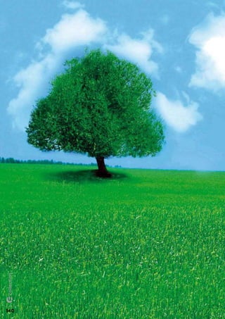 Technical descriptions
Descripciones técnicas
140
collection
 