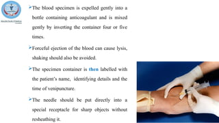 An overview on collection and handling of blood | PPTX