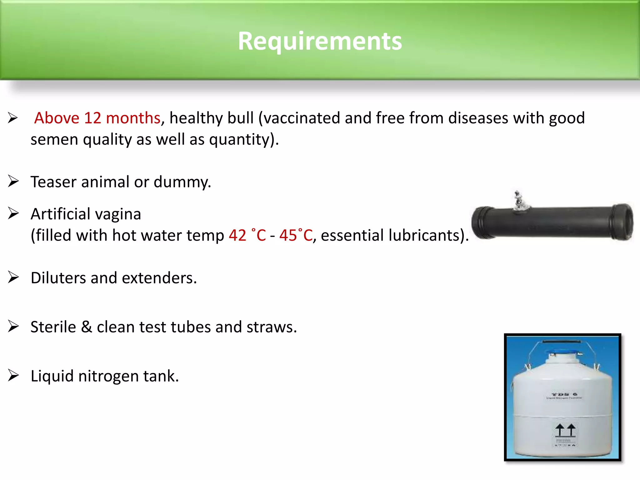 Collection and preservation of bull semen | PPTX