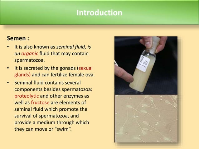 Collection and preservation of bull semen | PPTX | Infertility ...