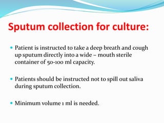Sputum collection for culture:
 Patient is instructed to take a deep breath and cough
up sputum directly into a wide – mouth sterile
container of 50-100 ml capacity.
 Patients should be instructed not to spill out saliva
during sputum collection.
 Minimum volume 1 ml is needed.
 