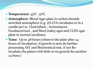  Temperature: 35ºC -37ºC
 Atmosphere: Blood Agar plate in carbon dioxide
enriched atmosphere (e.g. 5% CO2 incubator or in a
candle jar) ie. Clostridium , Actinomyces
Fusobacterium , and MacConkey agar and CLED agar
plate in normal incubator.
 Time: Up to 48 hours (observe the plate after 24
hours of incubation, if growth is seen do further
processing AST and Biochemical test, if not Re-
incubate the plates with little or no growth for another
24 hour.)
 
