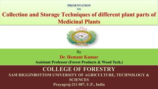 PRESENTATION
On
Collection and Storage Techniques of different plant parts of
Medicinal Plants
COLLEGE OF FORESTRY
SAM HIGGINBOTTOM UNIVERSITY OF AGRICULTURE, TECHNOLOGY &
SCIENCES
Prayagraj-211 007, U.P., India
By
Dr. Hemant Kumar
Assistant Professor (Forest Products & Wood Tech.)
 