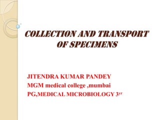 COLLECTION AND TRANSPORT
      OF SPECIMENS


JITENDRA KUMAR PANDEY
MGM medical college ,mumbai
PG,MEDICAL MICROBIOLOGY 3yr
 