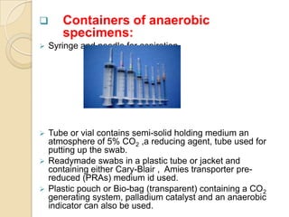       Containers of anaerobic
       specimens:
   Syringe and needle for aspiration.




 Tube or vial contains semi-solid holding medium an
  atmosphere of 5% CO2 ,a reducing agent, tube used for
  putting up the swab.
 Readymade swabs in a plastic tube or jacket and
  containing either Cary-Blair , Amies transporter pre-
  reduced (PRAs) medium id used.
 Plastic pouch or Bio-bag (transparent) containing a CO2
  generating system, palladium catalyst and an anaerobic
  indicator can also be used.
 