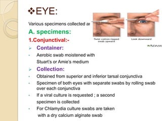 EYE:
Various specimens collected are:
A. specimens:
1.Conjunctival:-
 Container:
•   Aerobic swab moistened with
    Stuart’s or Amie’s medium
   Collection:
•   Obtained from superior and inferior tarsal conjunctiva
•   Specimen of both eyes with separate swabs by rolling swab
    over each conjunctiva
•   If a viral culture is requested ; a second
    specimen is collected
•   For Chlamydia culture swabs are taken
     with a dry calcium alginate swab
 