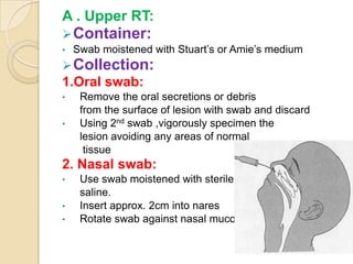 A . Upper RT:
 Container:
•   Swab moistened with Stuart’s or Amie’s medium
 Collection:
1.Oral swab:
•    Remove the oral secretions or debris
     from the surface of lesion with swab and discard
•    Using 2nd swab ,vigorously specimen the
     lesion avoiding any areas of normal
      tissue
2. Nasal swab:
•    Use swab moistened with sterile
     saline.
•    Insert approx. 2cm into nares
•    Rotate swab against nasal mucosa
 