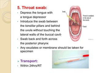 5. Throat swab:
• Depress the tongue with
  a tongue depressor
• Introduce the swab between
  the tonsillar pillars and behind
  the uvula without touching the
  lateral walls of the buccal cavity
• Swab back and forth across
  the posterior pharynx
• Any exudates or membrane should be taken for
  specimen


 Transport:
•   Within 24hrs/RT
 