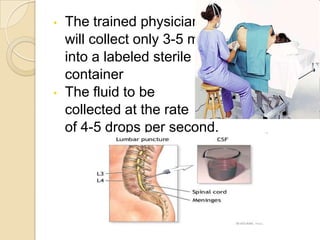 •   The trained physician
    will collect only 3-5 ml
    into a labeled sterile
    container
•   The fluid to be
    collected at the rate
    of 4-5 drops per second.
 