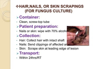 HAIR,NAILS, OR SKIN SCRAPINGS
   (FOR FUNGUS CULTURE)
 Container:
•   Clean, screw-top tube
 Patient     preparation:
•   Nails or skin: wipe with 70% alcohol
 Collection:
•   Hair: Collect hair with intact shaft
•   Nails: Send clippings of affected area
•   Skin: Scrape skin at leading edge of lesion
 Transport:
•   Within 24hrs/RT
 