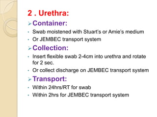 2 . Urethra:
 Container:
•   Swab moistened with Stuart’s or Amie’s medium
•   Or JEMBEC transport system
 Collection:
•   Insert flexible swab 2-4cm into urethra and rotate
    for 2 sec.
•   Or collect discharge on JEMBEC transport system
 Transport:
•   Within 24hrs/RT for swab
•   Within 2hrs for JEMBEC transport system
 