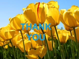 Collection and transport