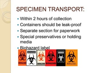 SPECIMEN TRANSPORT:
 Within 2 hours of collection
 Containers should be leak-proof
 Separate section for paperwork
 Special preservatives or holding
  media
 Biohazard label
 