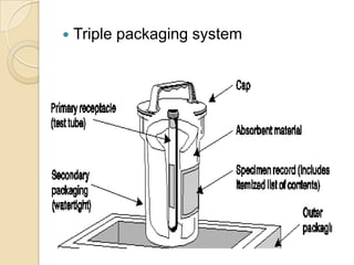   Triple packaging system
 