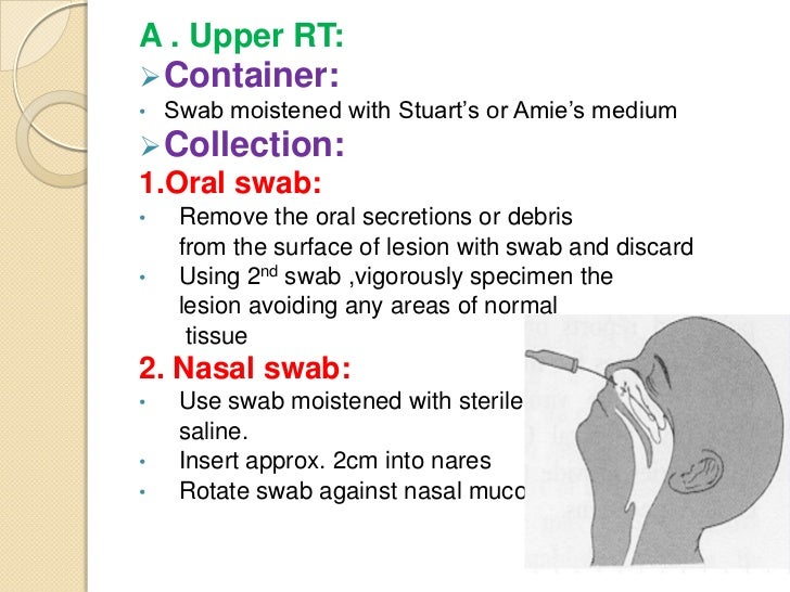 Collection and transport