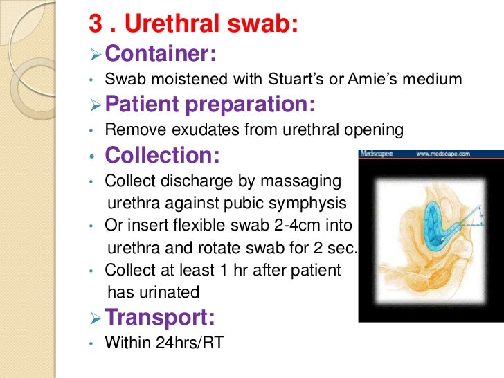 Collection and transport