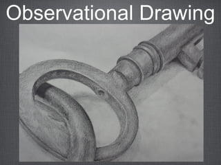 Observational Drawing
 