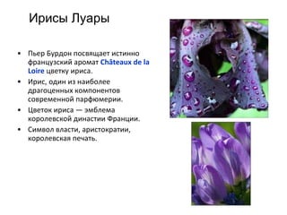 Ирисы Луары Пьер Бурдон посвящает истинно французский аромат  C hâteau x   de   la Loire   цветку ириса.  Ирис, один из наиболее драгоценных компонентов современной парфюмерии.  Цветок ириса — эмблема королевской династии Франции. Символ власти, аристократии, королевская печать. 