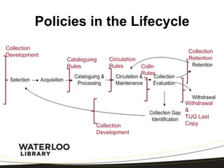 Collection lifecyclemanagement | PPTX