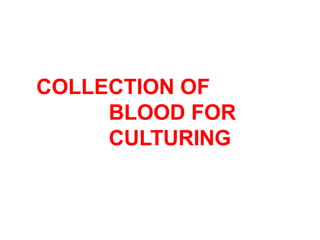COLLECTION OF
BLOOD FOR
CULTURING
 