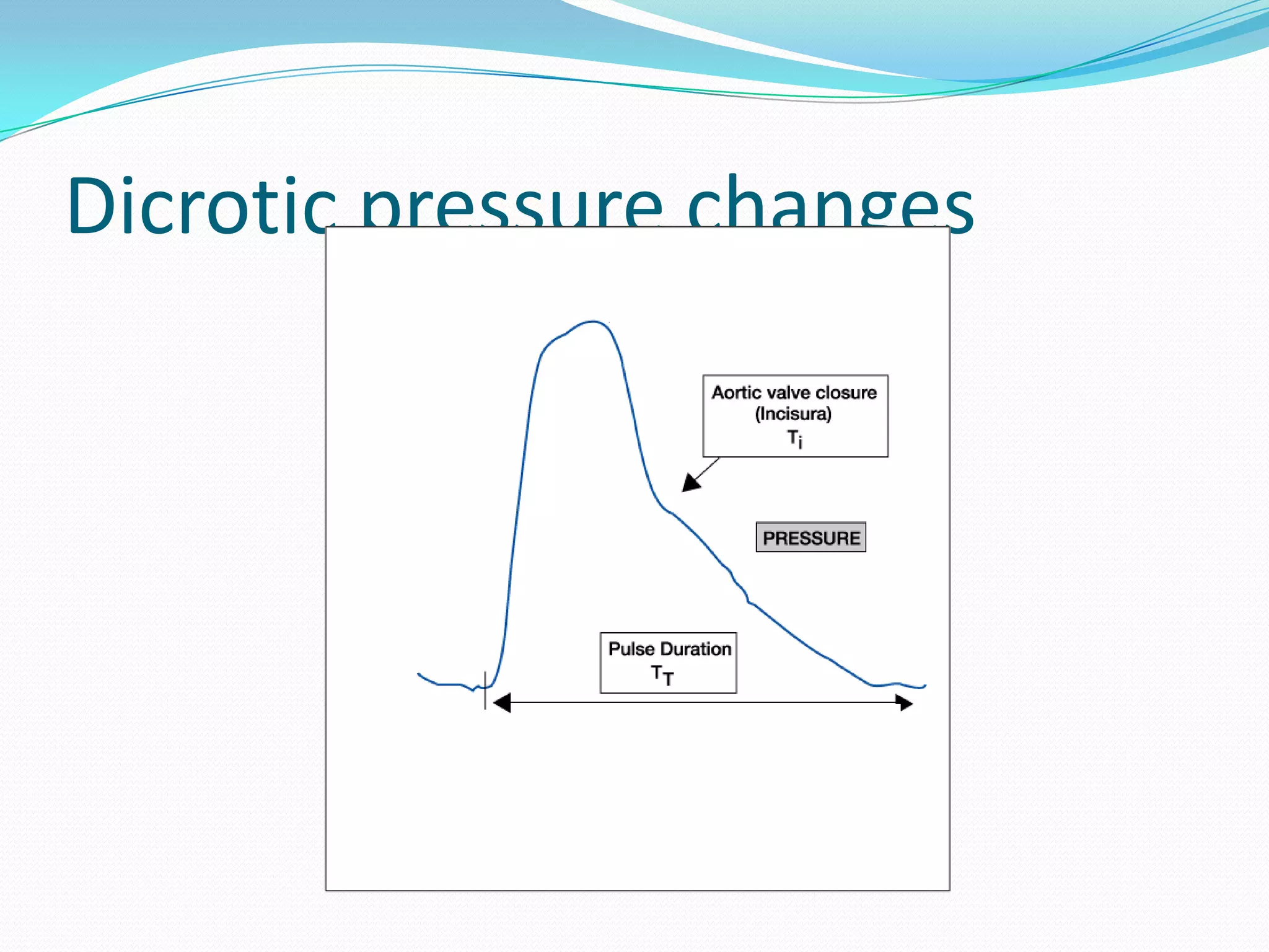 Dicrotic pressure changes

 