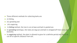 Coppice Method Roots Collection of raw materials: Ayurveda context | PPTX