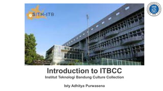 Introduction to ITBCC
Institut Teknologi Bandung Culture Collection
Isty Adhitya Purwasena
 