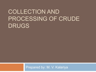 COLLECTION AND
PROCESSING OF CRUDE
DRUGS
Prepared by: M. V. Kalariya
 