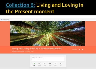 The Essential Bloggers' Guide to "Collections" in Creating Evergreen Posts