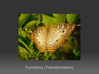 Functions (Transformation)
 