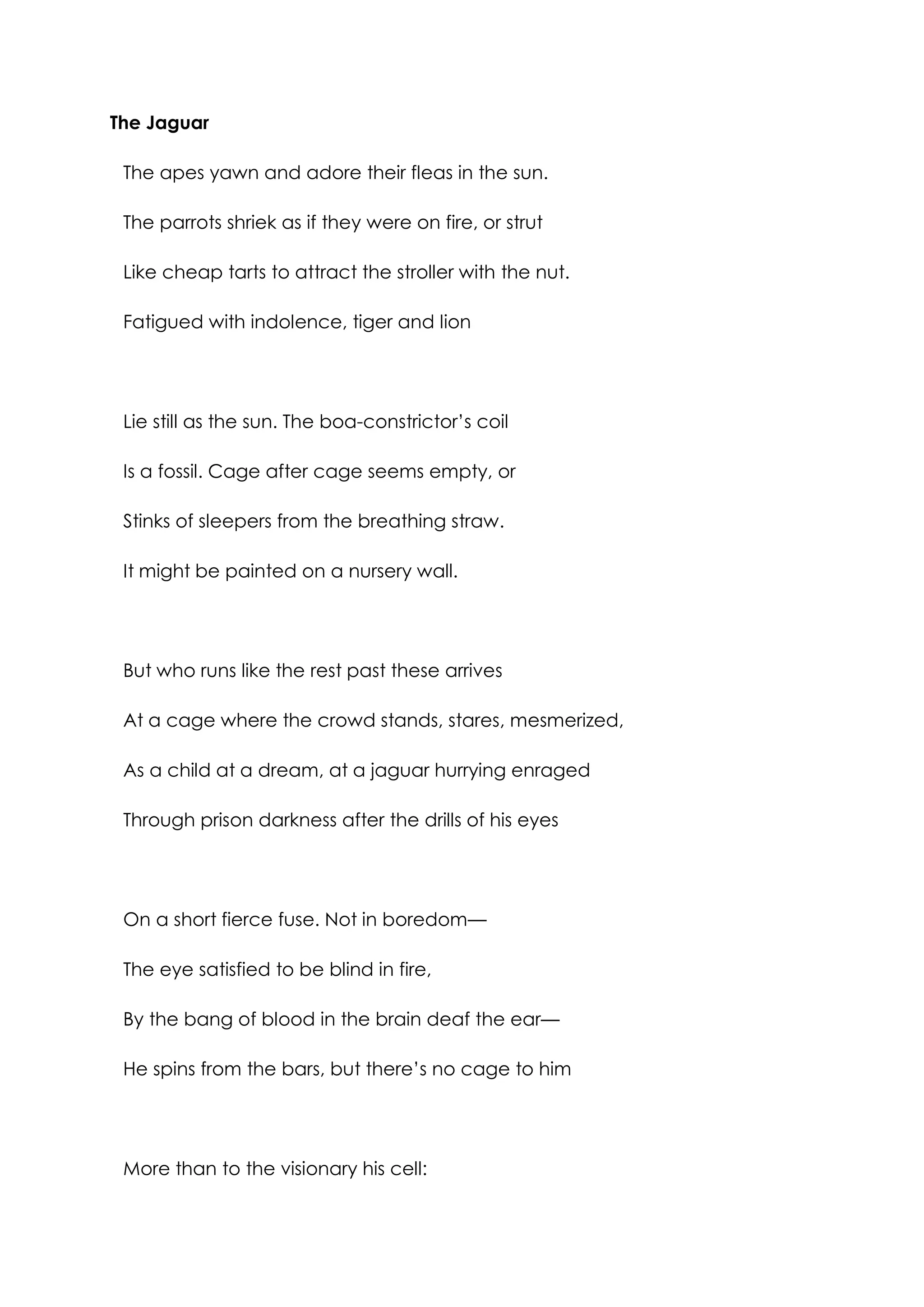 The Jaguar

 The apes yawn and adore their fleas in the sun.

 The parrots shriek as if they were on fire, or strut

 Like cheap tarts to attract the stroller with the nut.

 Fatigued with indolence, tiger and lion




 Lie still as the sun. The boa-constrictor’s coil

 Is a fossil. Cage after cage seems empty, or

 Stinks of sleepers from the breathing straw.

 It might be painted on a nursery wall.




 But who runs like the rest past these arrives

 At a cage where the crowd stands, stares, mesmerized,

 As a child at a dream, at a jaguar hurrying enraged

 Through prison darkness after the drills of his eyes




 On a short fierce fuse. Not in boredom—

 The eye satisfied to be blind in fire,

 By the bang of blood in the brain deaf the ear—

 He spins from the bars, but there’s no cage to him




 More than to the visionary his cell:
 