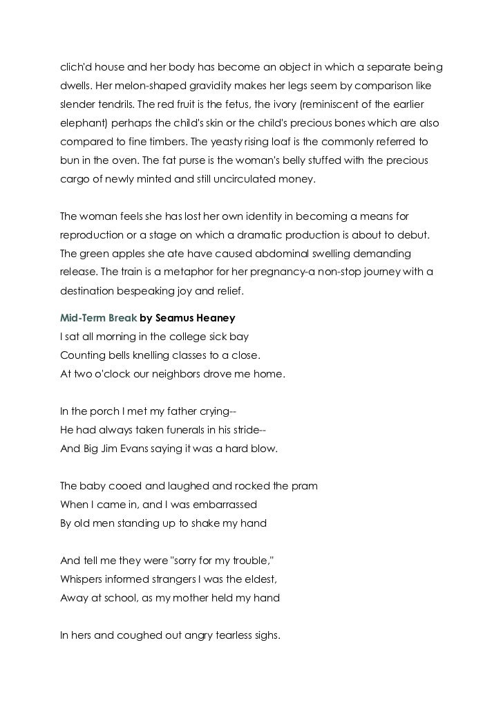 Inanimate object essay