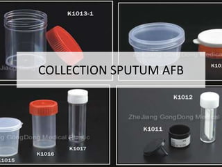 COLLECTION SPUTUM AFB
 
