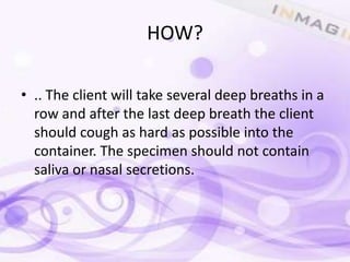 HOW?

• .. The client will take several deep breaths in a
  row and after the last deep breath the client
  should cough as hard as possible into the
  container. The specimen should not contain
  saliva or nasal secretions.
 