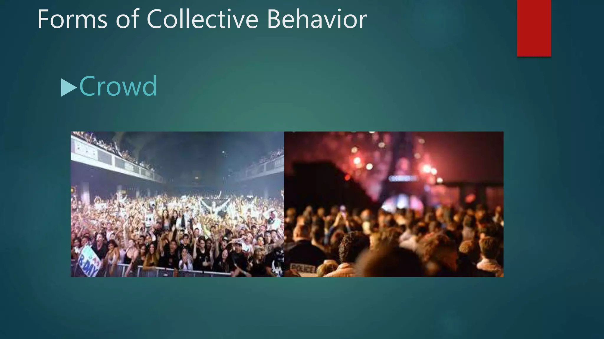 Forms of Collective Behavior
Crowd
